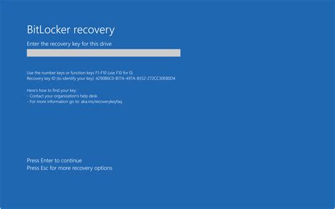 force BitLocker password on boot